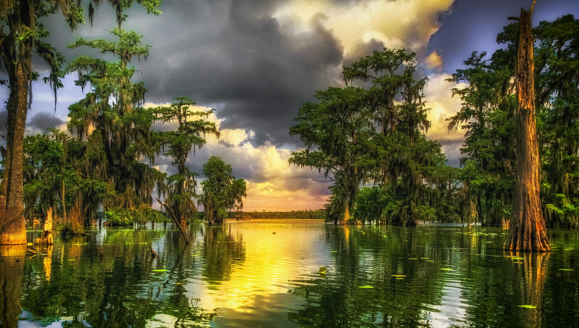 The image displays a serene landscape featuring a reflective body of water with cypress trees along its banks under a cloudy sky, with a prominent view of a horizon line where the sky meets the water.